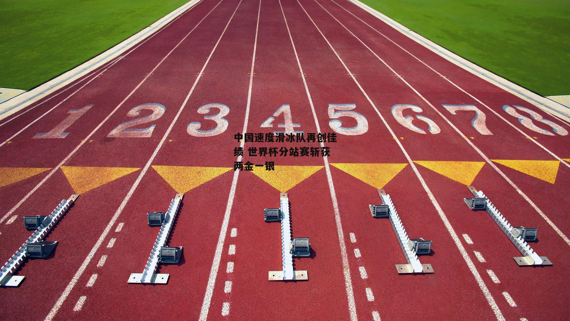中国速度滑冰队再创佳绩 世界杯分站赛斩获两金一银