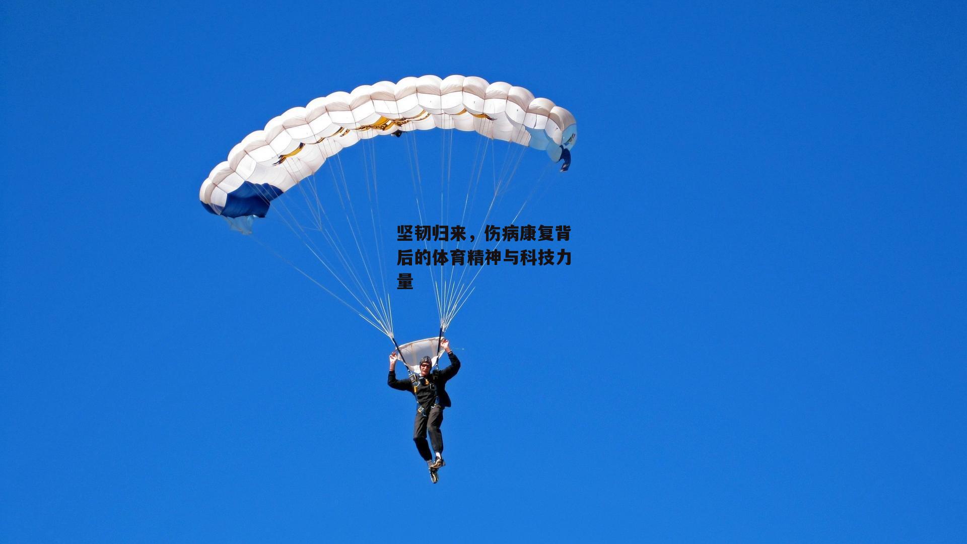 坚韧归来，伤病康复背后的体育精神与科技力量